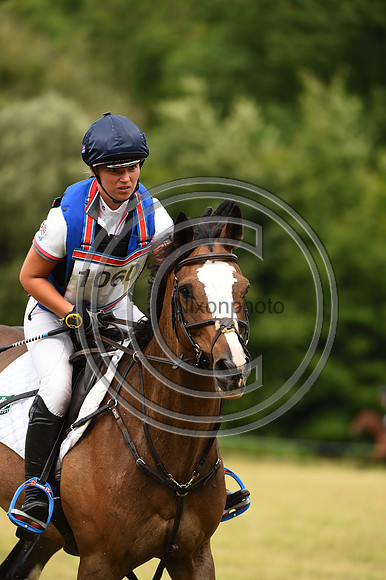 HorseNo1060_Bicton_20PN_75189