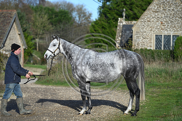 Mare_Selwood_PN47