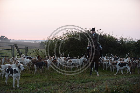 Bicester with Whaddon Chase Hunt 14 09 20