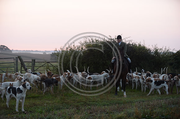Bicester with Whaddon Chase Hunt 14 09 20