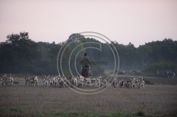 Bicester with Whaddon Chase Hunt 14 09 20
