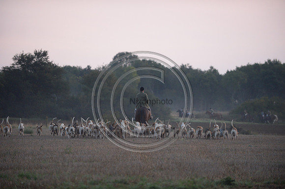 Bicester with Whaddon Chase Hunt 14 09 20