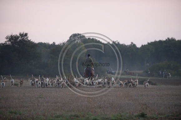 Bicester with Whaddon Chase Hunt 14 09 20