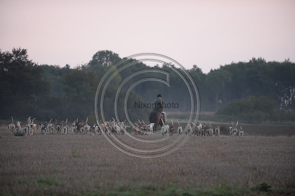 Bicester with Whaddon Chase Hunt 14 09 20