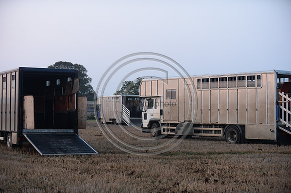 Bicester with Whaddon Chase Hunt 14 09 20