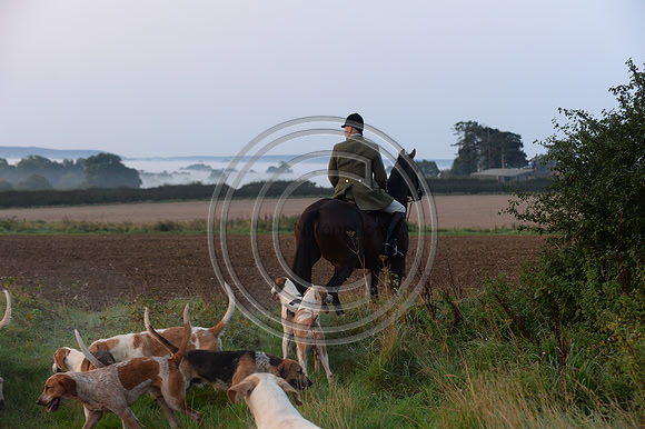 Bicester with Whaddon Chase Hunt 14 09 20