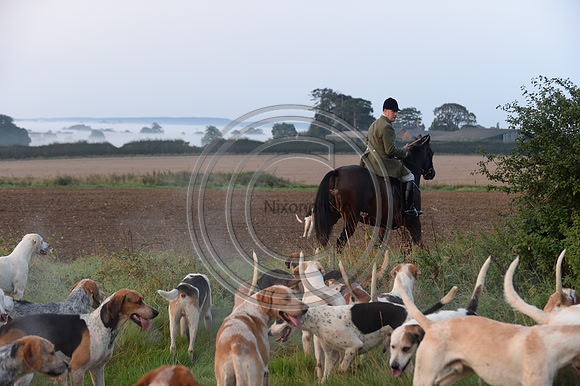 Bicester with Whaddon Chase Hunt 14 09 20