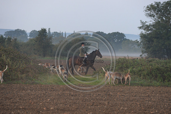 Bicester with Whaddon Chase Hunt 14 09 20