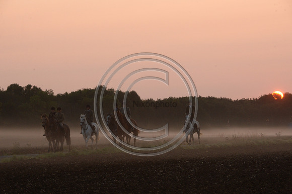 Bicester with Whaddon Chase Hunt 14 09 20