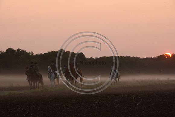 Bicester with Whaddon Chase Hunt 14 09 20