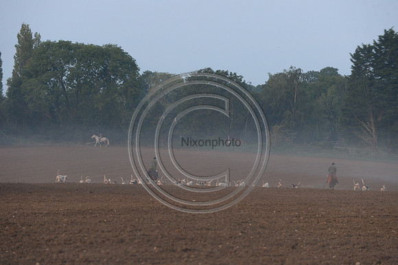 Bicester with Whaddon Chase Hunt 14 09 20