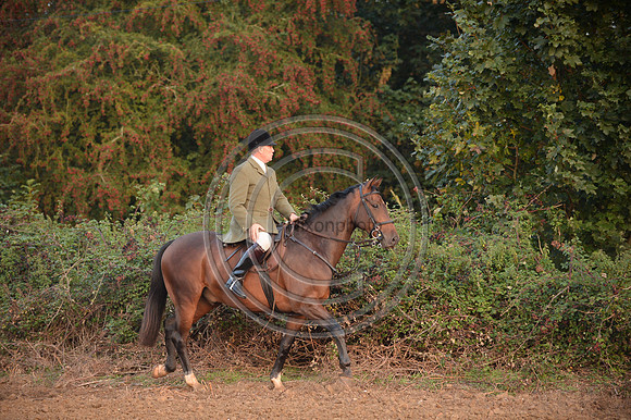 Bicester with Whaddon Chase Hunt 14 09 20