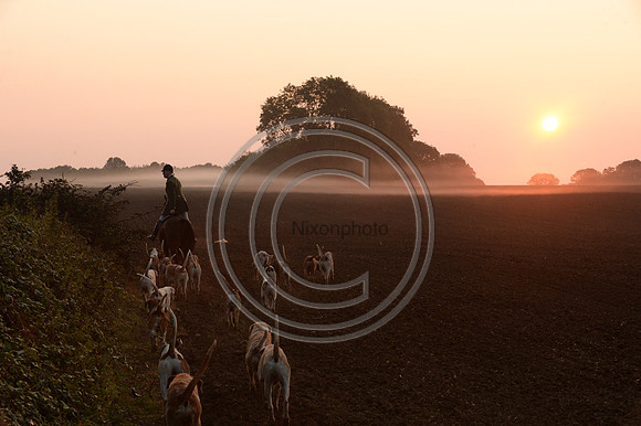 Bicester with Whaddon Chase Hunt 14 09 20
