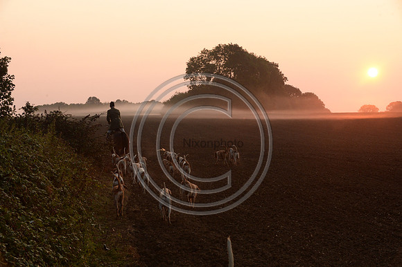 Bicester with Whaddon Chase Hunt 14 09 20