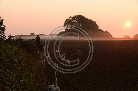 Bicester with Whaddon Chase Hunt 14 09 20