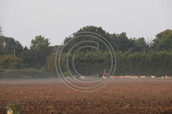 Bicester with Whaddon Chase Hunt 14 09 20