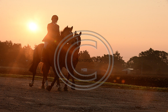 Bicester with Whaddon Chase Hunt 14 09 20