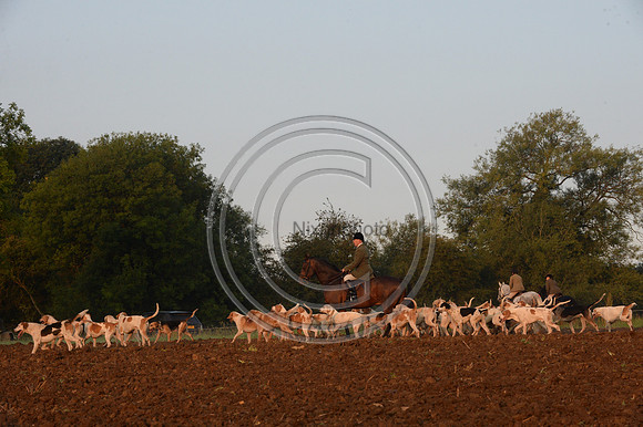 Bicester with Whaddon Chase Hunt 14 09 20