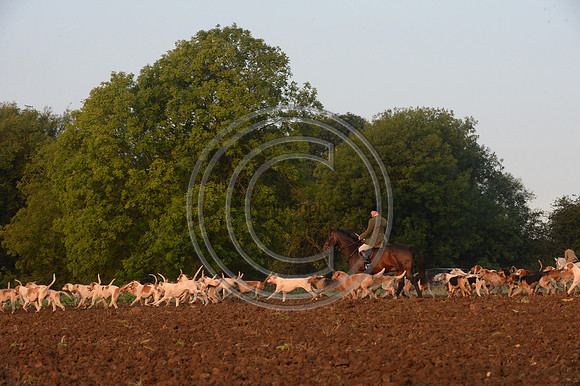 Bicester with Whaddon Chase Hunt 14 09 20