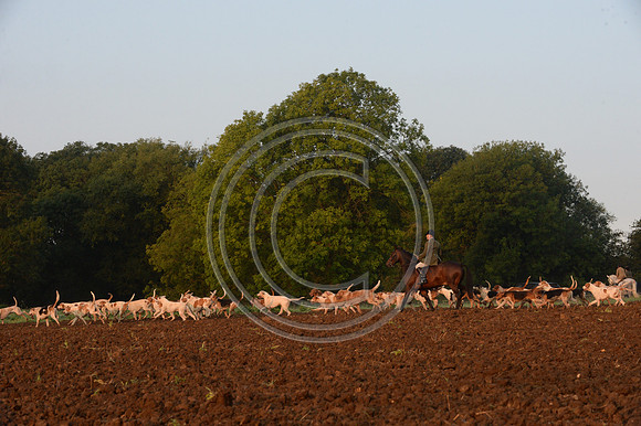 Bicester with Whaddon Chase Hunt 14 09 20