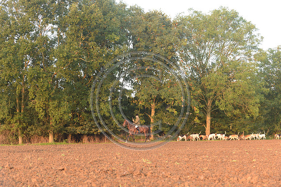 Bicester with Whaddon Chase Hunt 14 09 20