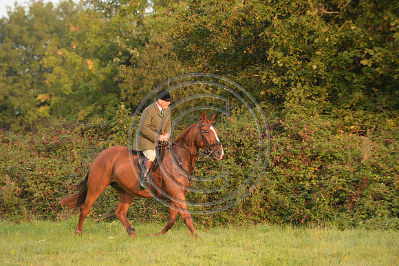 Bicester with Whaddon Chase Hunt 14 09 20