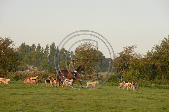 Bicester with Whaddon Chase Hunt 14 09 20
