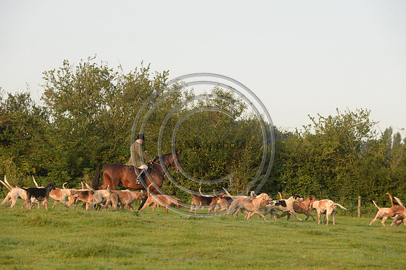 Bicester with Whaddon Chase Hunt 14 09 20