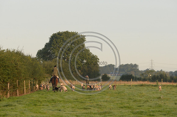 Bicester with Whaddon Chase Hunt 14 09 20