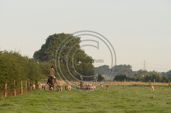 Bicester with Whaddon Chase Hunt 14 09 20