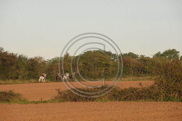 Bicester with Whaddon Chase Hunt 14 09 20