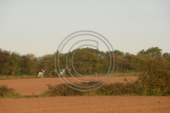 Bicester with Whaddon Chase Hunt 14 09 20