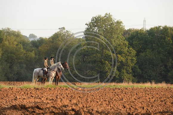 Bicester with Whaddon Chase Hunt 14 09 20