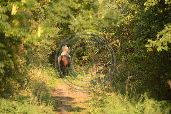Bicester with Whaddon Chase Hunt 14 09 20