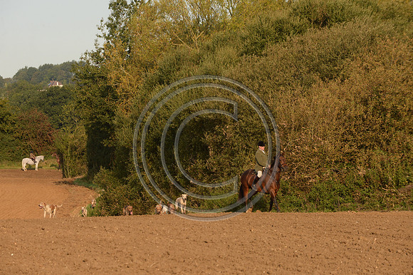 Bicester with Whaddon Chase Hunt 14 09 20