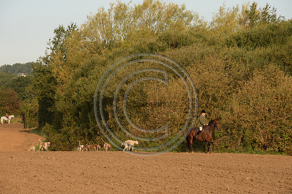 Bicester with Whaddon Chase Hunt 14 09 20