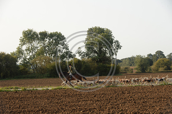 Bicester with Whaddon Chase Hunt 14 09 20