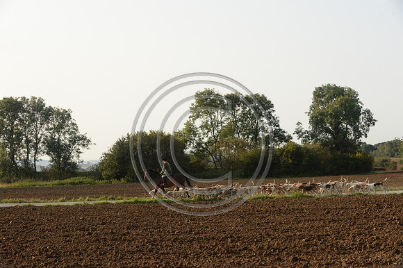 Bicester with Whaddon Chase Hunt 14 09 20