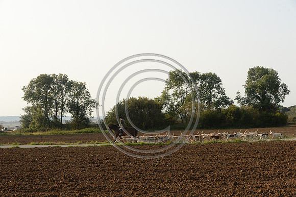 Bicester with Whaddon Chase Hunt 14 09 20