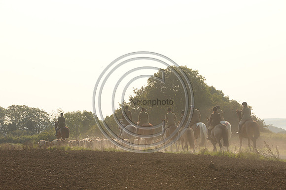 Bicester with Whaddon Chase Hunt 14 09 20