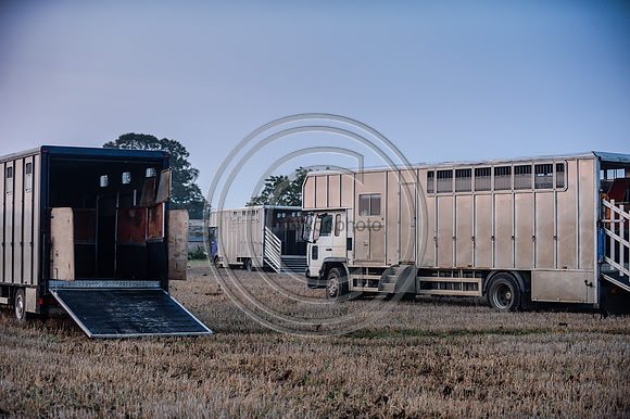 Bicester with Whaddon Chase Hunt 14 09 20