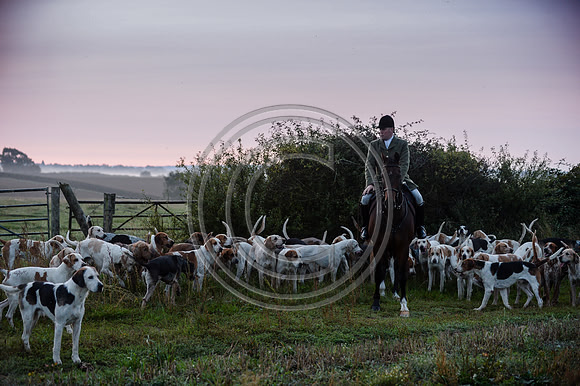 Bicester with Whaddon Chase Hunt 14 09 20