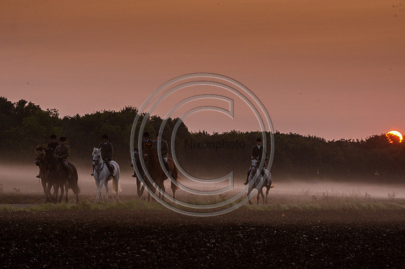 Bicester with Whaddon Chase Hunt 14 09 20