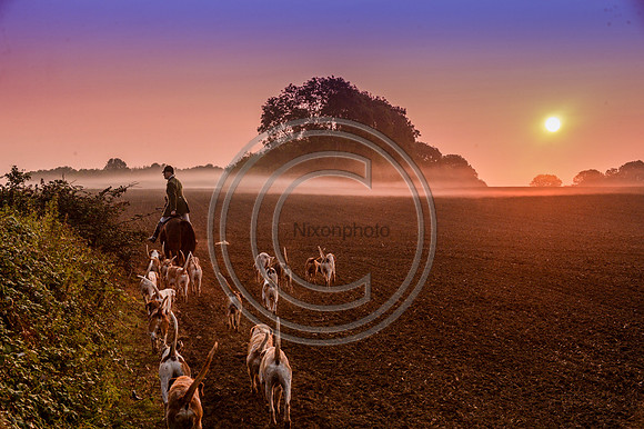 Bicester with Whaddon Chase Hunt 14 09 20