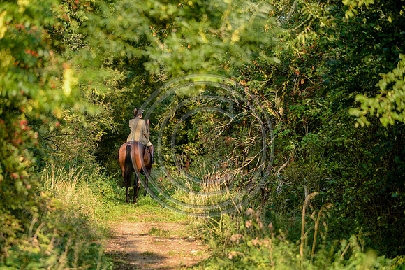 Bicester with Whaddon Chase Hunt 14 09 20