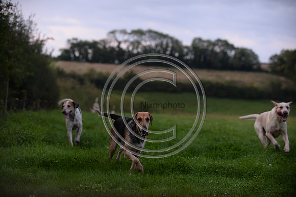 SouthDorset_Autumn_Hunting_20PN_107168