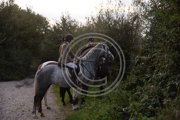SouthDorset_Autumn_Hunting_20PN_107170