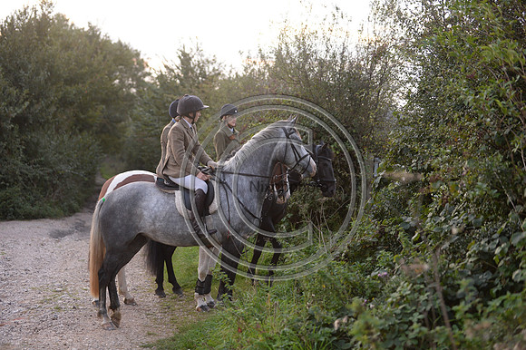 SouthDorset_Autumn_Hunting_20PN_107169