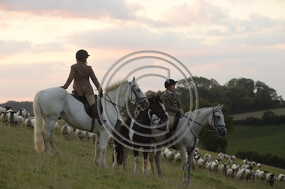 SouthDorset_Autumn_Hunting_20PN_107173