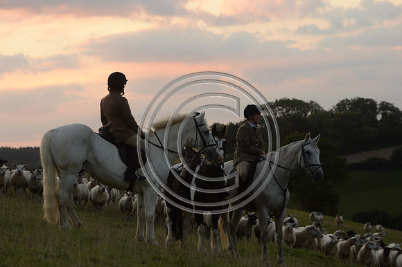 SouthDorset_Autumn_Hunting_20PN_107174